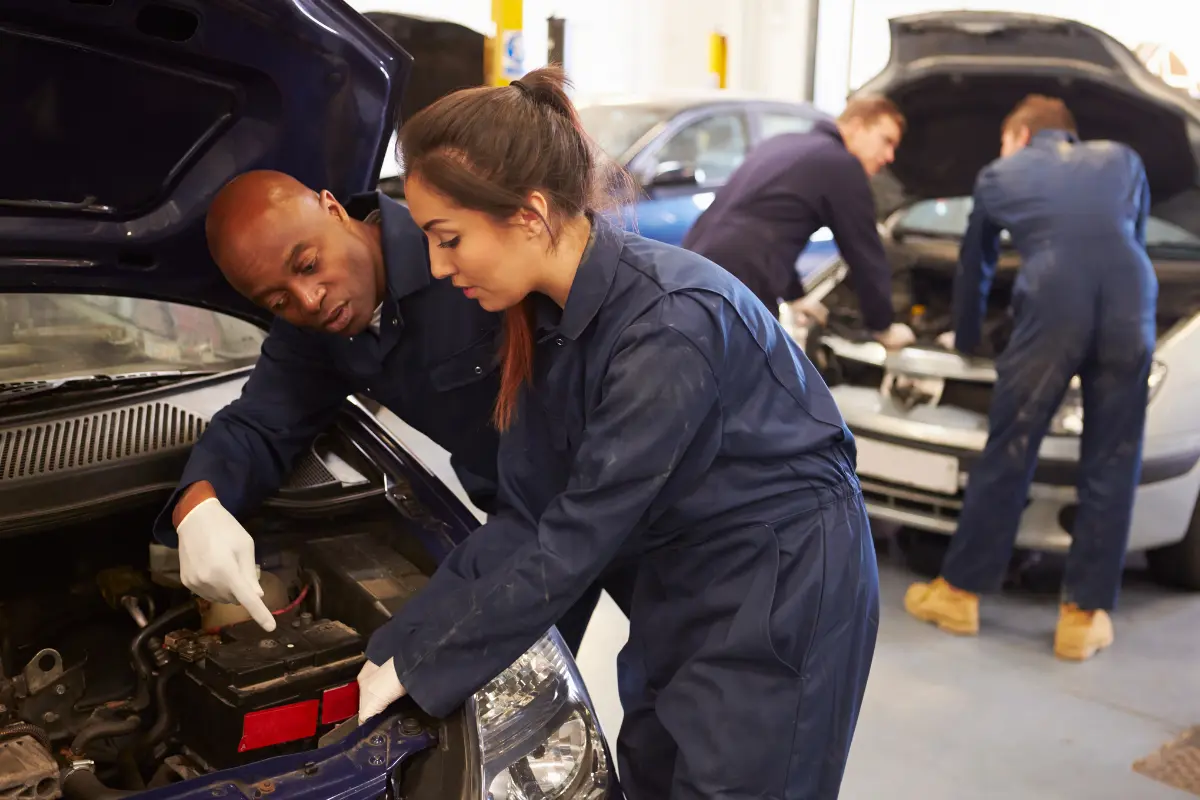 industry-focused education